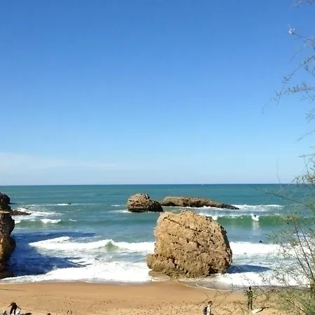 Vsc877 Apartman Biarritz