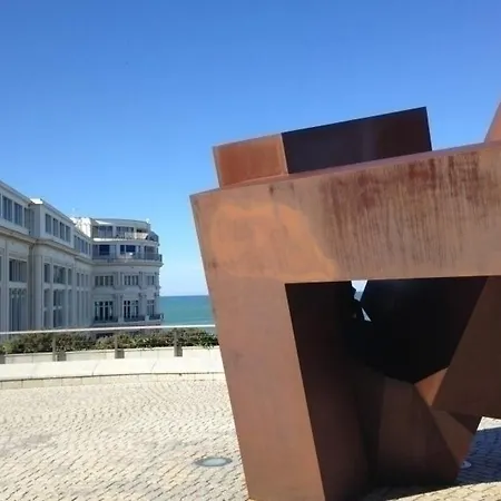 Vsc877 *